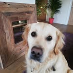 Dan Thacker - @dan.thacker.14 - Instagram