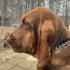 Dan Thamert - @danthamert - TikTok
