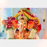 ದಂತಪ್ರಿಯ & ಗ್ಯಾಂಗ್ 🙏🐘✨️ - @danthapriya - Instagram