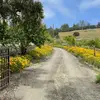 danieltheobald - @daniel.a.theobald - TikTok