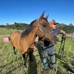 Dan Thoemke - @goldendano - Instagram