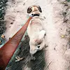 Dan Thomason - @dan.thomason - TikTok