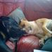 Dan Thomasson - Facebook