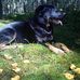 Dan Thomasson - Facebook