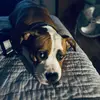 Dani T - @danithomasson1031 - TikTok
