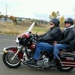 Dan Thomsen - @thomsen.dan - Instagram