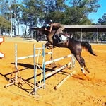 Danthon Andrade - @danthon_andrade - Instagram