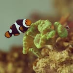 Dan Thrash - @dthrash429 - Instagram