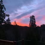 Dan Thrash - @dthrash66 - Instagram