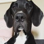 @thrasher.dan_ - Instagram