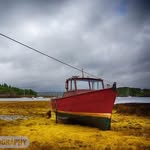 Dan Thurgood - @danthurgoodphotography - Instagram
