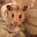 Danny - @danny.thurgood - Instagram