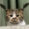 Daan tiêuಥ_ಥ - @dantieu27 - TikTok