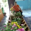 Dân Tiêu - @dn.tiu6 - TikTok