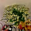 Dán Tiểu Thư - @dandan24082023 - TikTok