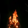 Danut Iftimie - @danutiftimie0 - TikTok