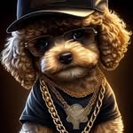 Dan - @dant_iger - Instagram