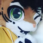 Dan the Siberian Tiger - @egyptianqbeauty - Instagram