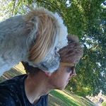 Dan Tiller - @my_nameis_dan - Instagram