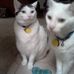 Dan Tillery - Facebook