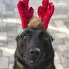 danetillett - @danetillett - TikTok