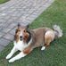 Dan Tillman - Facebook