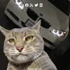 dantim - @dantimq - TikTok