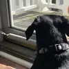 Brendan - @brendan.timberlake - TikTok