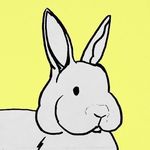 Dan Timmermann - @dantimmermann.wav - Instagram