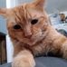 Dan Timms - Facebook