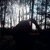 Titi - @dantimsr - TikTok