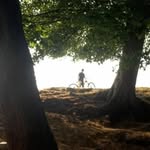 Dan Tindley - @dan.tindley - Instagram