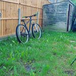 Dan Tindley - @daniel.tindley_pbc - Instagram