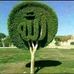 Dangla Khan - Facebook