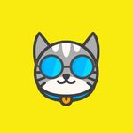 Fakta dan Tips Serba Kucing - @makinpahamkucing - Instagram