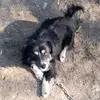 Danica Mikavica Tomic - @danatomic1 - TikTok