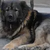 Dan Toth - @dan.toth - TikTok