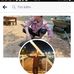 Dân Trà Bồng - Facebook
