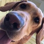 Dan Trainor - @dtrain117 - Instagram