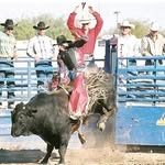 Dan Trevino - @bulrydrdan - Instagram