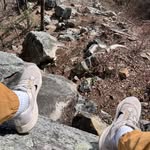 Daniel Trowell - @dan.trowell - Instagram