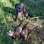In the Outdoors - @dantruschinski - Instagram