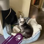 Dan Tsang - Facebook