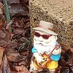 Dan Tullos - @dantullos0 - Instagram