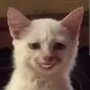 Eugene - @tunadan - TikTok