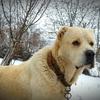 Dan T - @dan.turcan - TikTok