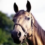 Dan Ţurcan - @danturcan26 - Instagram