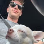 Dan Turnock - @dan.turnock - Instagram