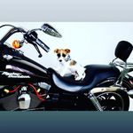 dan turton - @dan.turton27 - Instagram