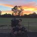 Daniel Turton - Facebook